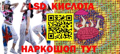 apvp Кимры