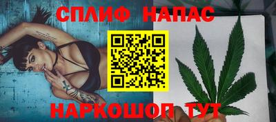 СК Канаш