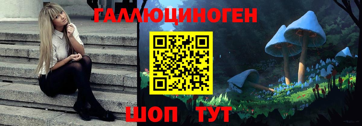 Кохма  Псилоцибиновые грибы мухоморы  Вход с VPN 